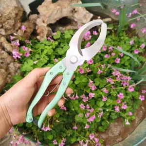 Kéo khoanh vỏ kích thích ra hoa HM120