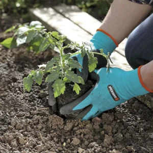 Găng tây làm vườn Gardena 00206-20