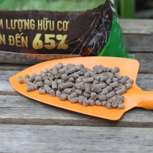 Phân bón hữu cơ sinh học Bion Ficoco